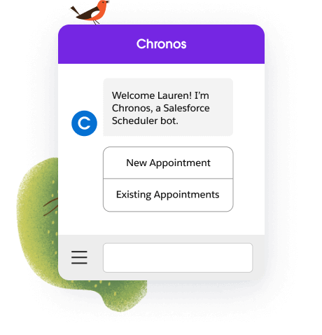 Salesforce Scheduler