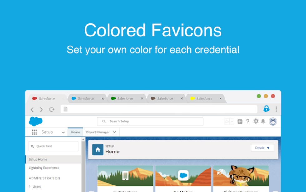 Salesforce Credentials
