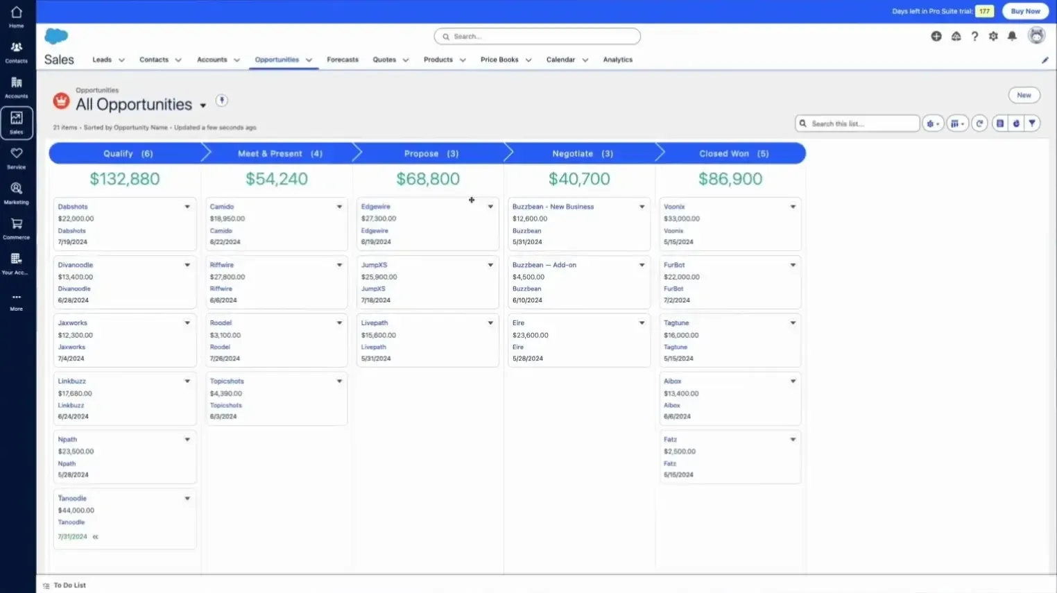 Salesfroce Pro Suite (Vertrieb)