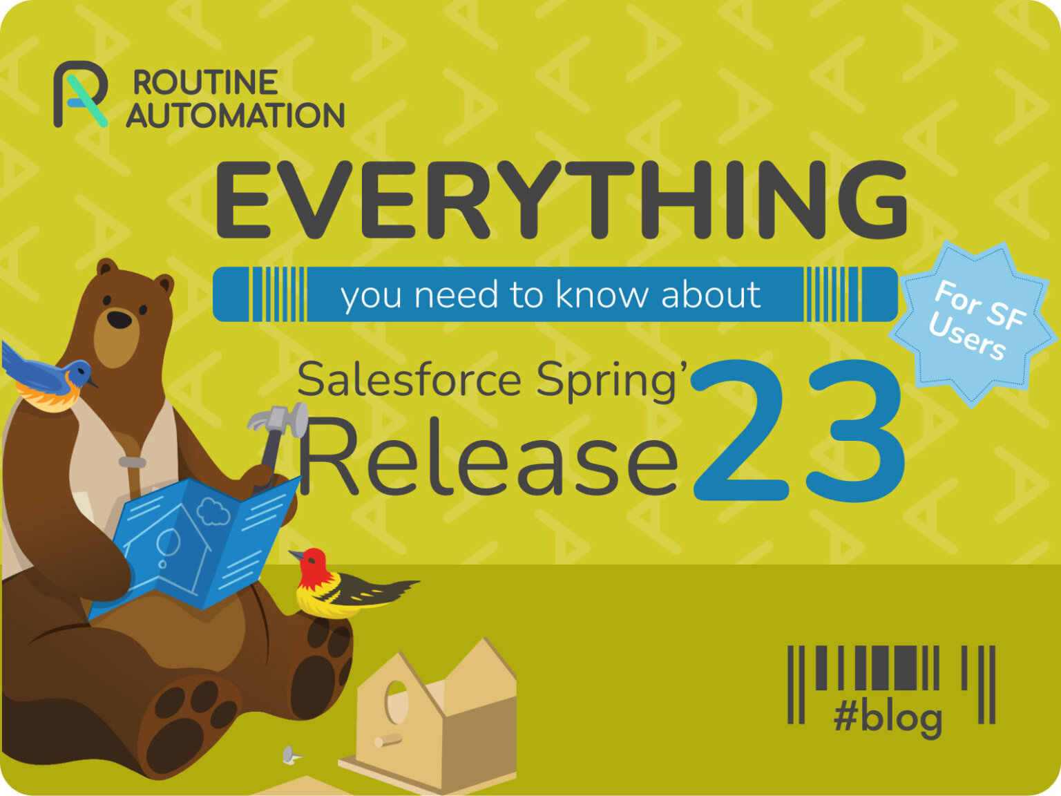 Salesforce Spring '23 Release Insights | RA