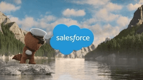 Salesforce logo with Astro captain in the mountain view
