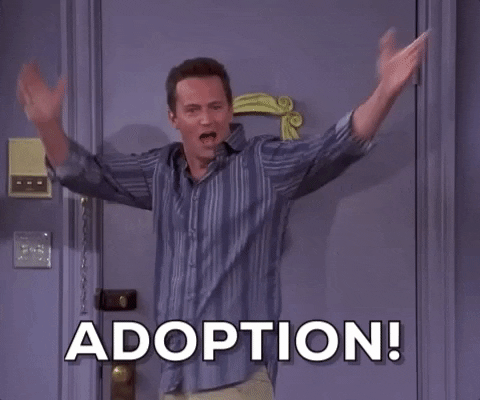 A man from Friends series stands in front of a door with the words "adoption". The image represents Salesforce Adoption.