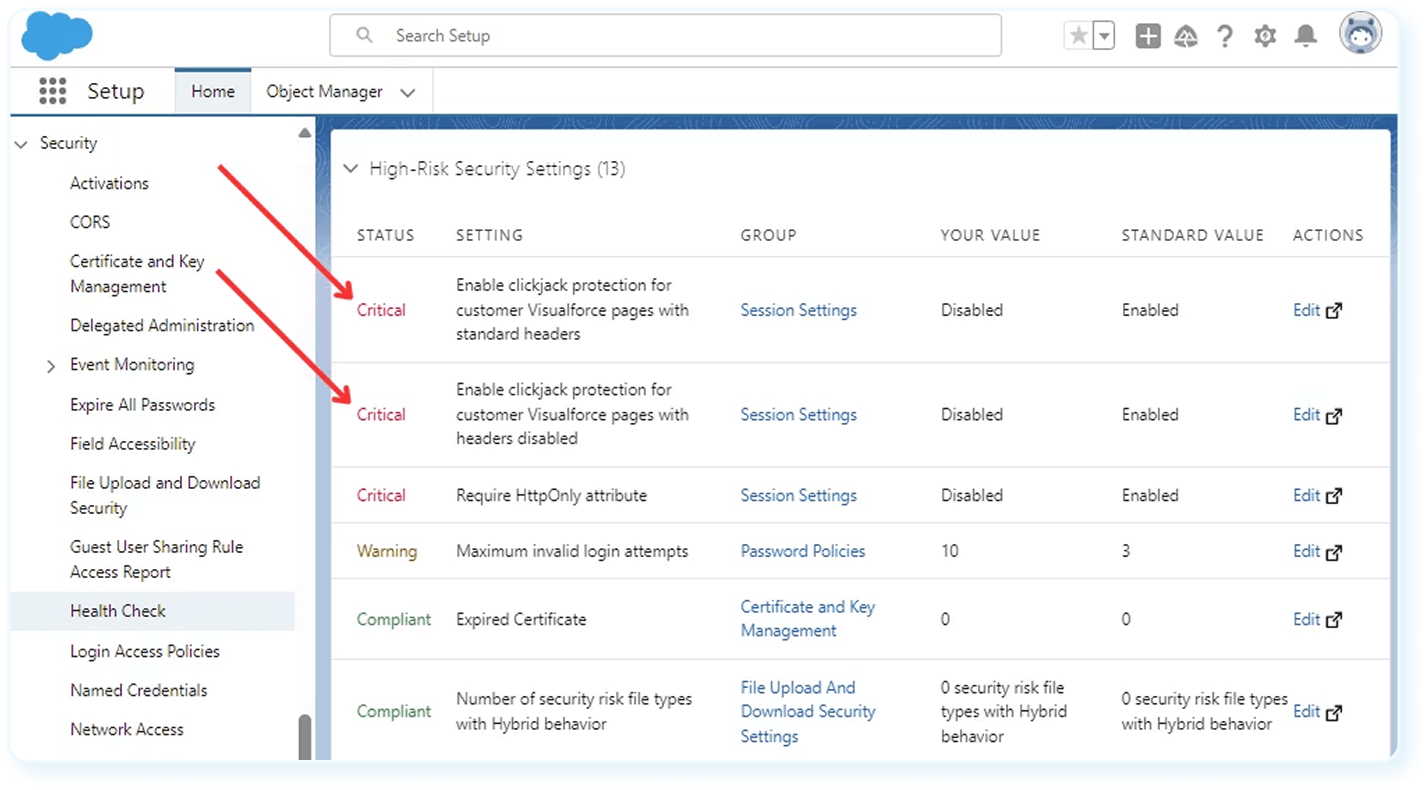 Salesforce Health Check Report